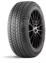 DOUBLE STAR DW09 255/55 R19 107H
